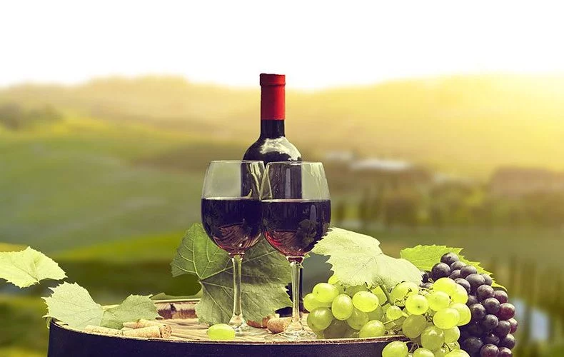 Winery Tours
